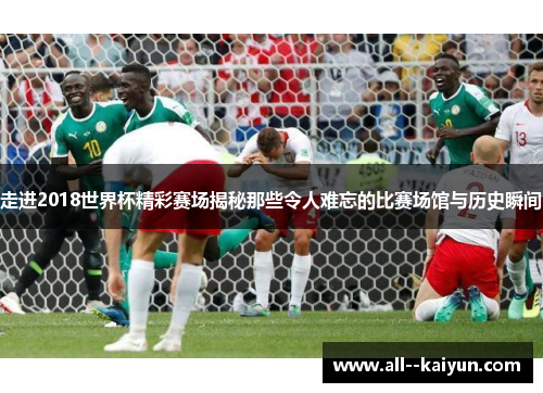 走进2018世界杯精彩赛场揭秘那些令人难忘的比赛场馆与历史瞬间 走进2018世界杯精彩赛场揭秘那些令人难忘的比赛场馆与历史瞬间