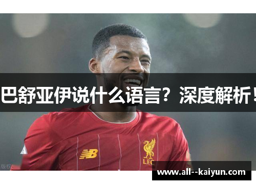 巴舒亚伊说什么语言？深度解析！