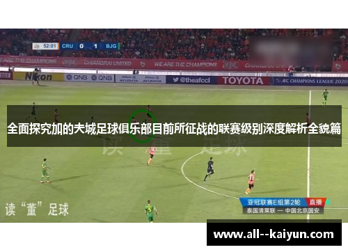 全面探究加的夫城足球俱乐部目前所征战的联赛级别深度解析全貌篇