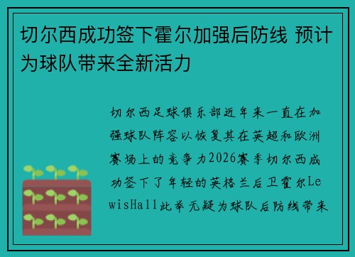 切尔西成功签下霍尔加强后防线 预计为球队带来全新活力 切尔西成功签下霍尔加强后防线 预计为球队带来全新活力